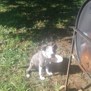 Meet your Posher, Jaylen